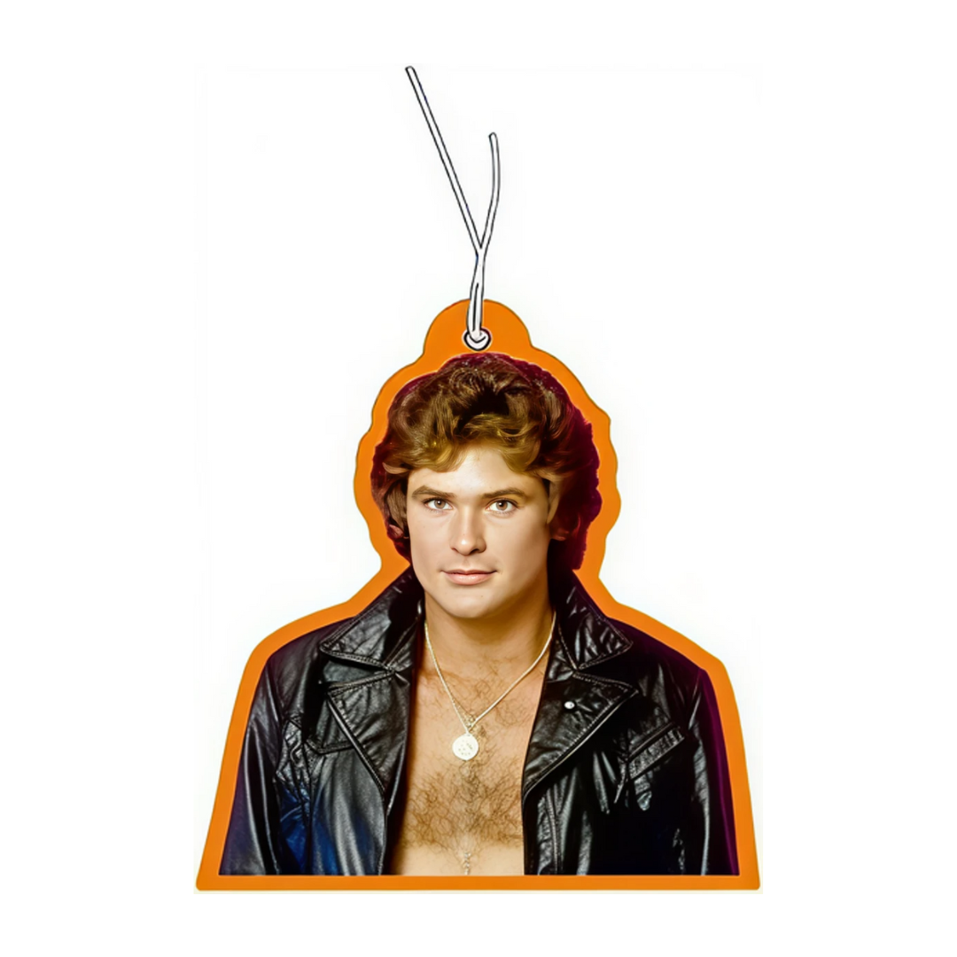 David Hasselhoff Duftbaum / Lufterfrischer